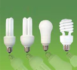 Bulb