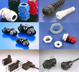Cable Gland