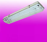 Tube Light Fitting