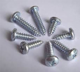 Self Taping Screw