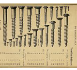 Wood Screw