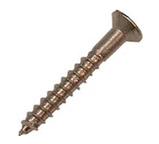 Wood Screw