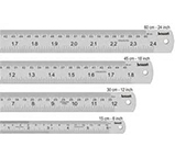 SS Scale