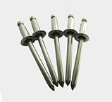 Blind Rivet