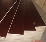 Ply Wood Marine